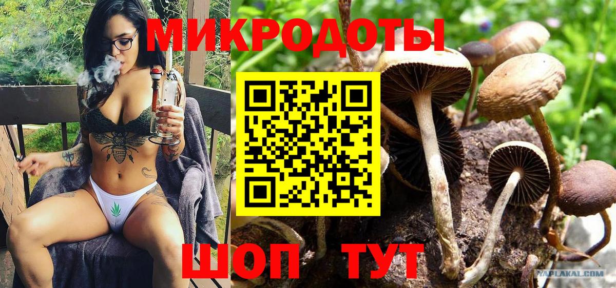Галлюциногенные грибы прущие грибы  Вход с VPN  Карабулак 